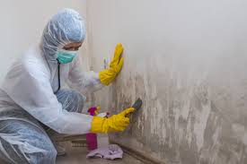  Oatfield, OR Mold Removal & Remediation Pros